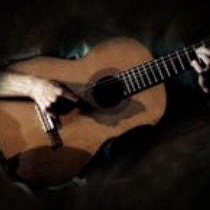 Acoustic guitar